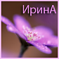 Аватар для minimama