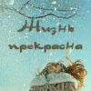 Аватар для Ириана