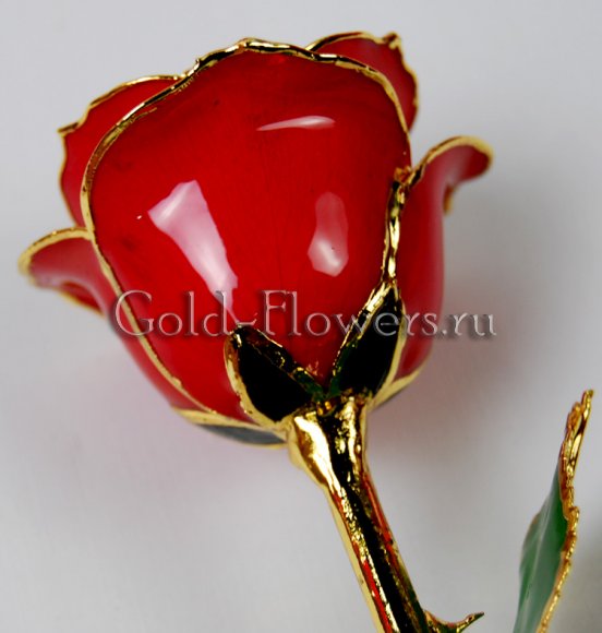 WWW.GOLD-FLOWERS.RU
Эксклюзивный подарок из золота ручной работы. Подарок чтобы очаровать любимую девушку. Событие в честь которого вы подарите эту розу запомниться на всю жизнь!