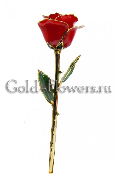WWW.GOLD-FLOWERS.RU
Подарок любимой, который лучшим образом подойдет к любому празднику или торжеству. Это может быть день рождения, первое свидание, годовщина или ваш личный праздник или юбилей (месяц со дня первого знакомства и пр...)