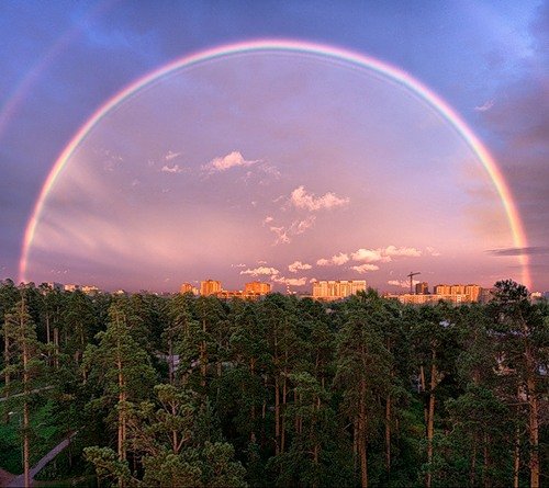 rainbow wow!,